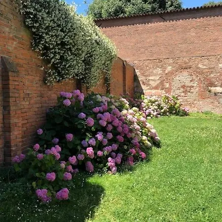Palazzo Sabbioni Lusso Due Cucina Apartment